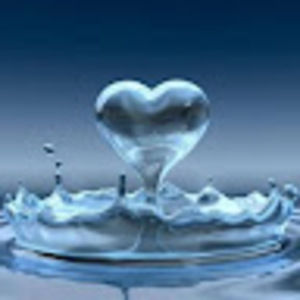 Meet your Posher, Rita